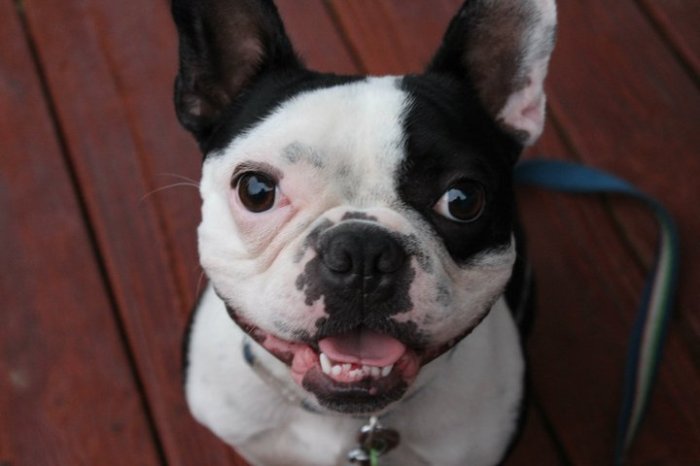 I mean, look at that face.